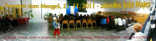 Prredavanje je potekalo v Župnijskem domu sv. Mihaela v Mengšu